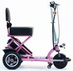 (Triaxe Sport Scooter - Purple)